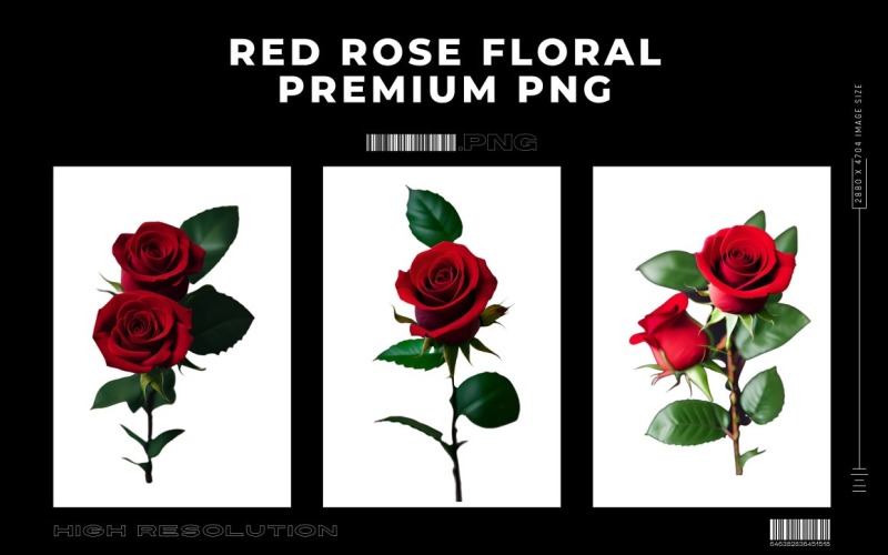 Červená růže Floral Premium PNG Vol.2