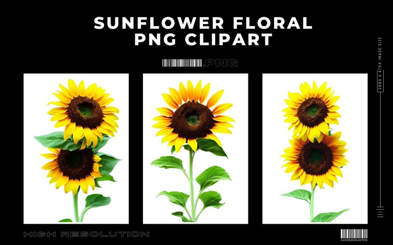 Girasole Floreale Premium PNG Clipart Vol.3