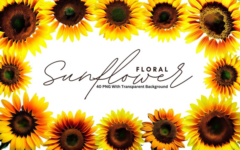 Zonnebloem Floral Premium PNG-bundel