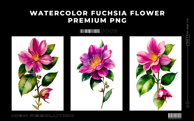 Akvarell Fuchsia Flower PNG Vol.6