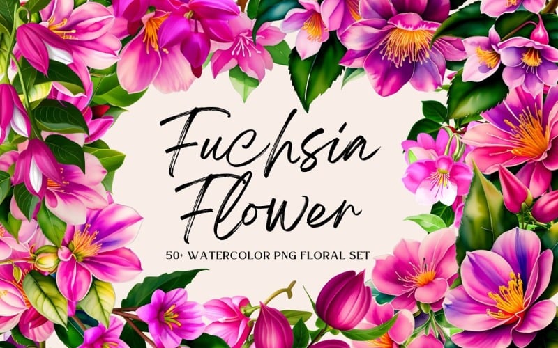 Akvarell fukszia virág PNG csomag