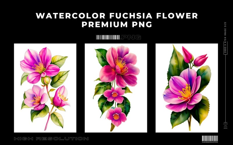 Aquarela Flor Fúcsia PNG Vol.5