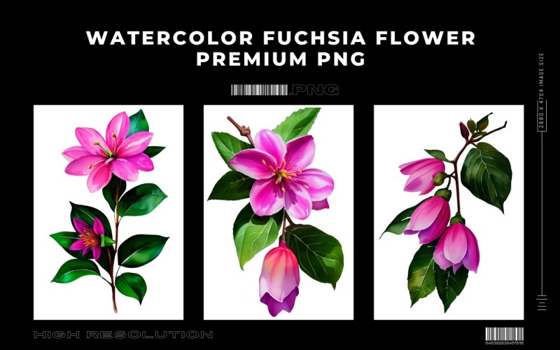 Fiore fucsia dell'acquerello PNG Vol.1