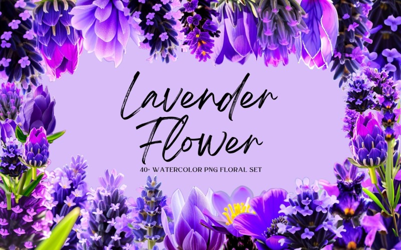 Aquarell Lavendel Blume PNG Bundle