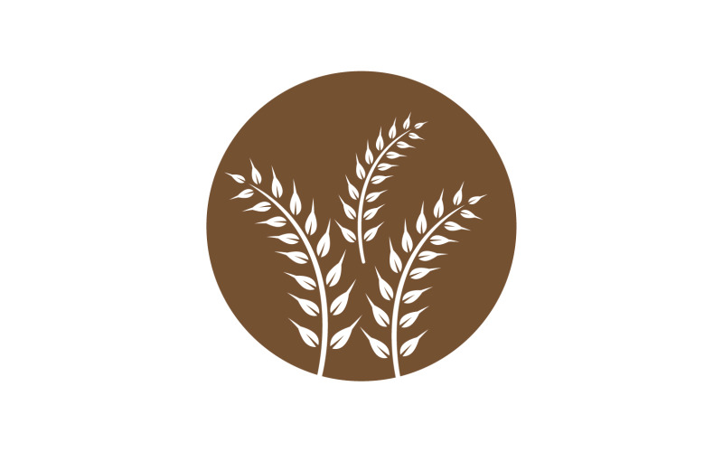 Agriculture wheat rice food logo v27
