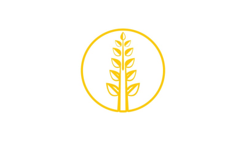 Wheat rice oat food logo design v22