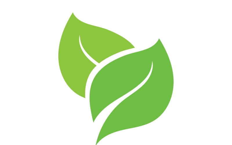 Лист эко зеленый чай природа свежий вектор логотипа v38