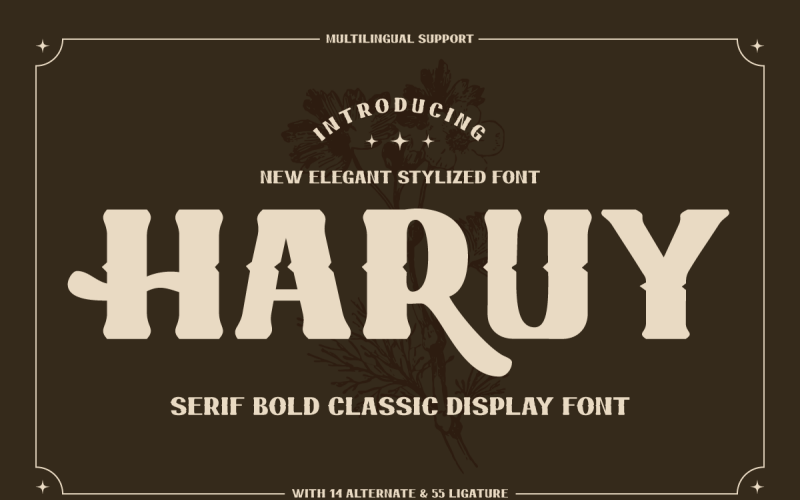 Haruy - Serif vet klassiek weergavelettertype