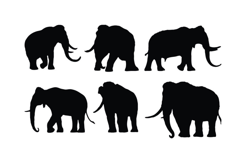 Elefant zu Fuß Silhouette Set Vektor