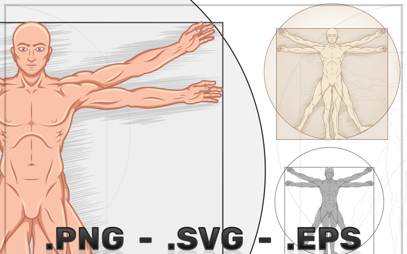 Vector Design Uomo Vitruviano Proporzioni Umane