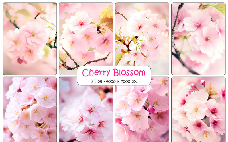 Fundo de flor de cerejeira rosa e sakura realista com flores cor de rosa e pétalas caindo