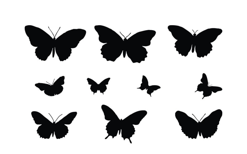 Butterfly silhouette collection vector - TemplateMonster