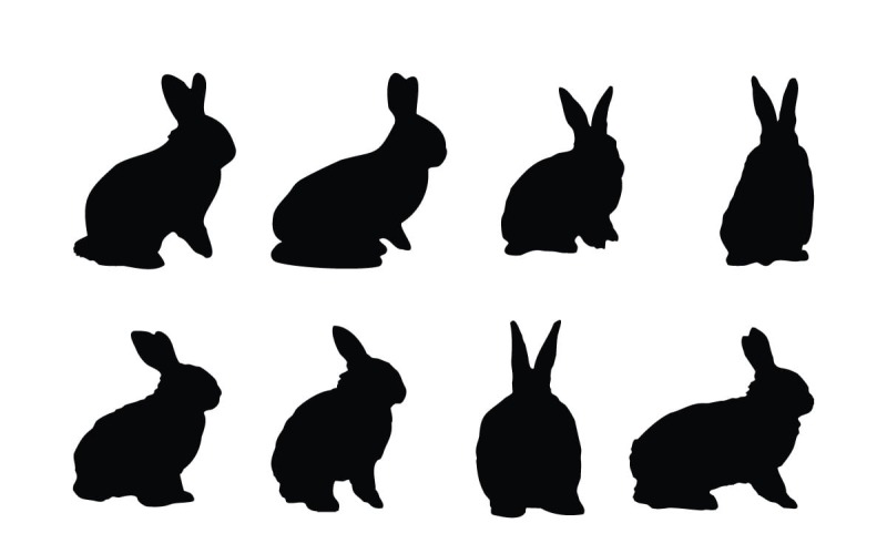 Colección de siluetas de conejitos
