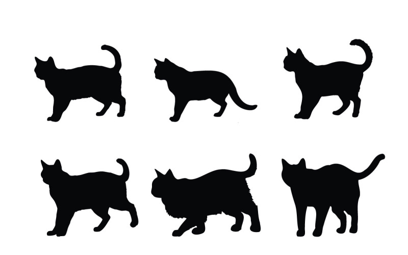 Kat silhouet ontwerp collectie vector