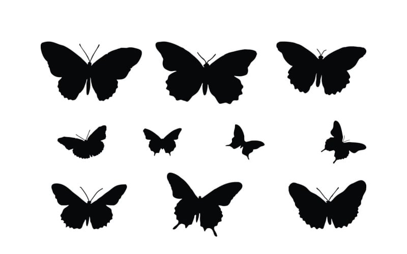 Vector de colección de silueta de mariposa