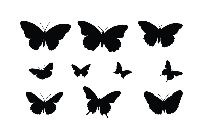 vetor de coleção de silhueta de borboleta