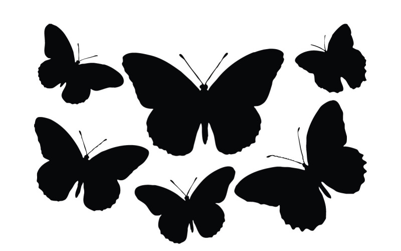 Fliegende Silhouette eines Schmetterlings und einer Motte