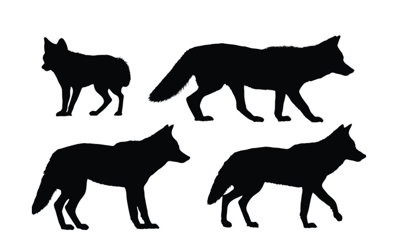 Coyote standing silhouette set vector