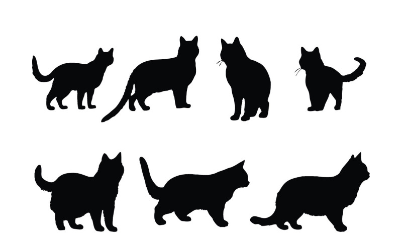 35 ideias de Desenhos  ilustrações, arte com gatos, desenhos