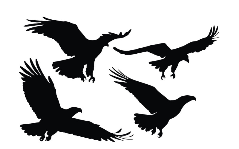 Eagle jakt siluett set vektor