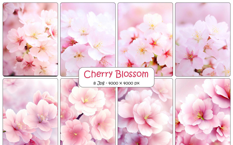 Hermosas flores de rama de flor de sakura, fondo de flor de cerezo realista
