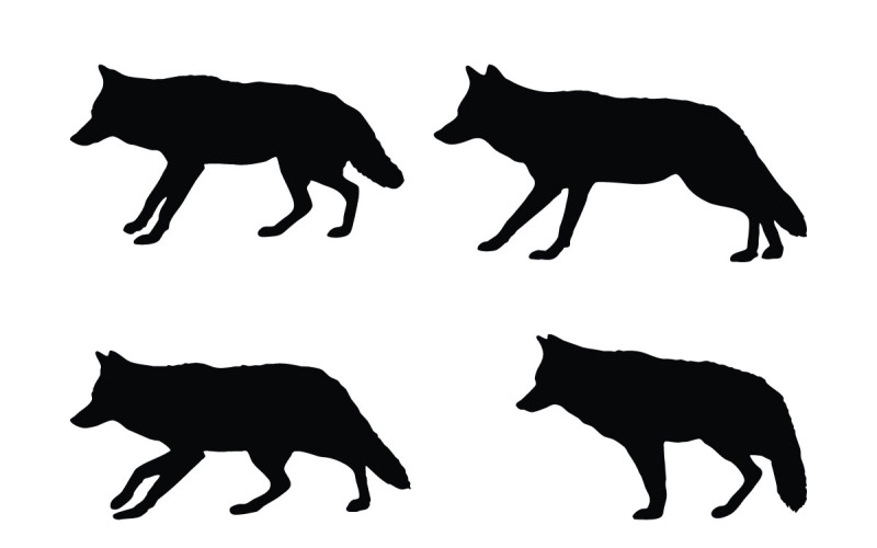 Wilde coyote silhouet collectie vector