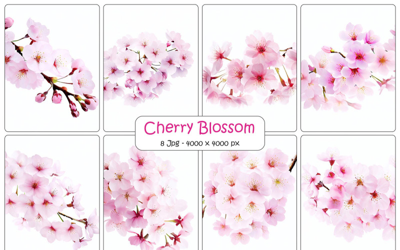 Branche de fleur de fleur de cerisier sakura rose réaliste avec fond floral