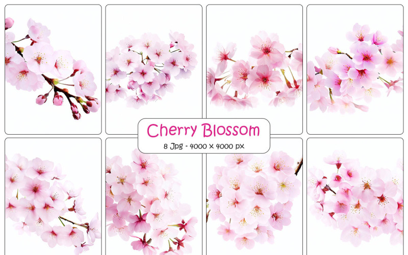 Realistic pink sakura cherry blossom flower branch with floral background
