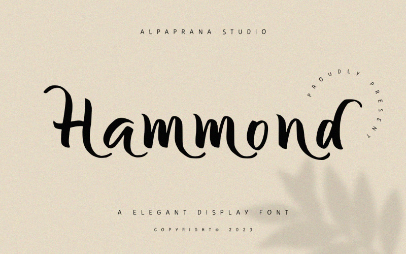 Hammond - Carattere di visualizzazione elegante