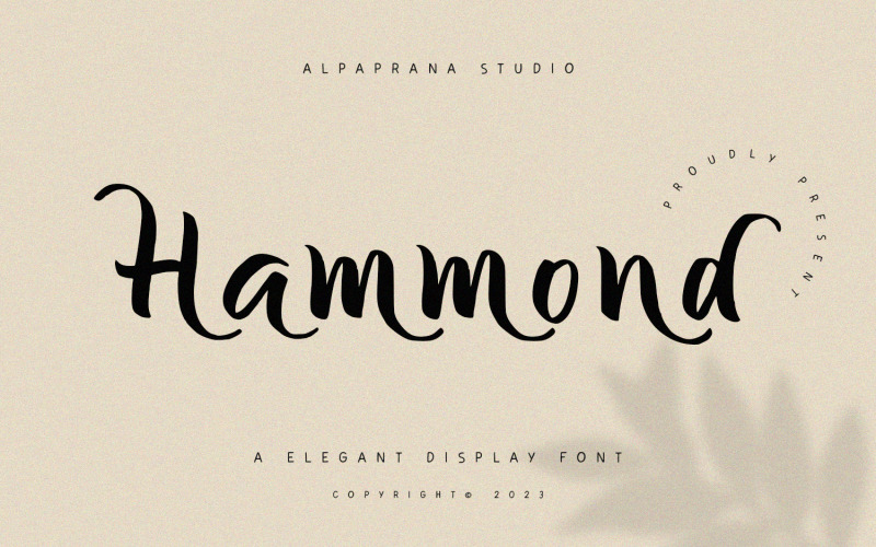 Hammond - 优雅的显示字体