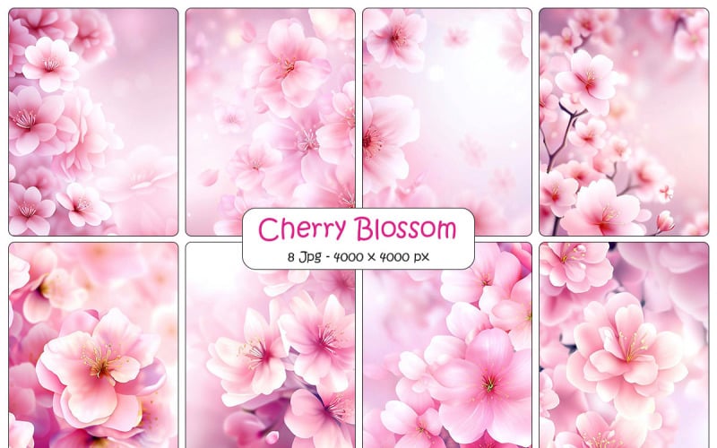 Pink sakura cherry blossom flower background and digital paper