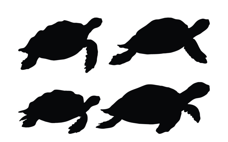 Черепаха плаває в різних положеннях