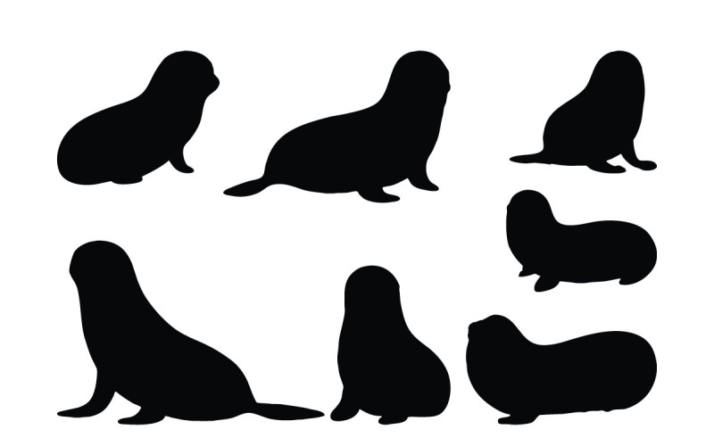 Seehunde-Silhouetten-Vektorsammlung