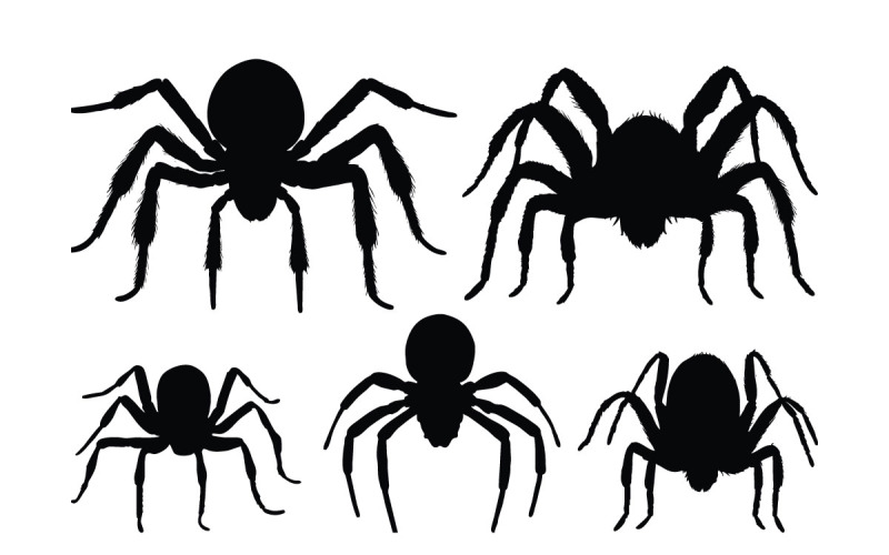 Spider sedící silueta kolekce