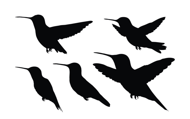 Hummingbird flying silhouette bundle