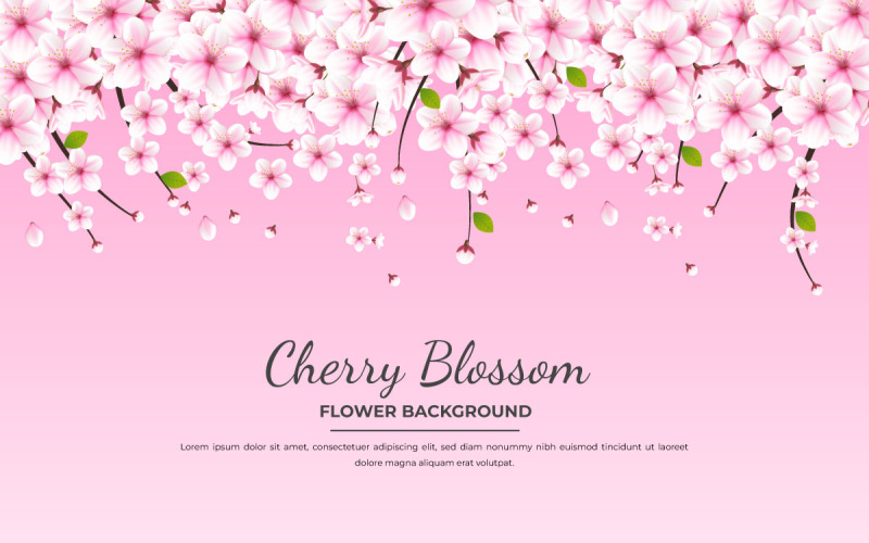 Vector  cherry blossom vector. cherry blossom flower blooming vector. pink sakura flower