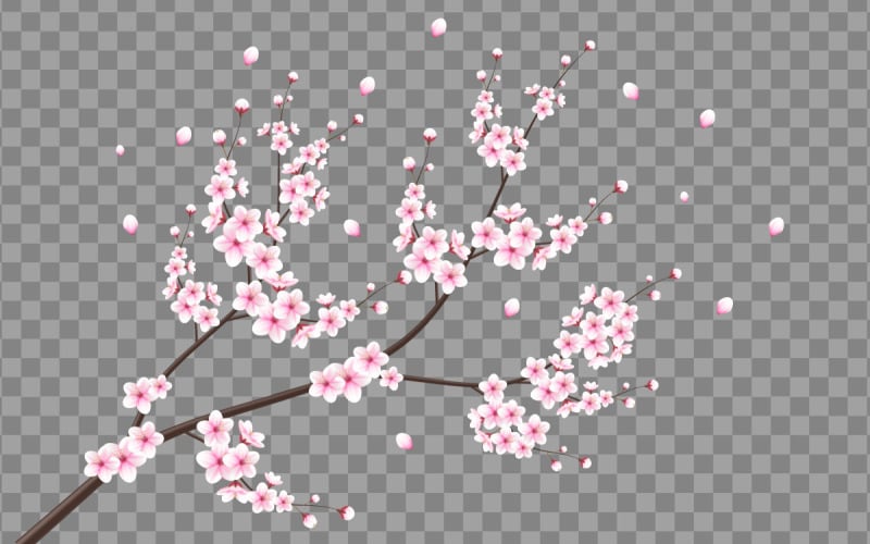 vecteur floral avec des fleurs de cerisier en pleine floraison sur un style de fleur de sakura rose