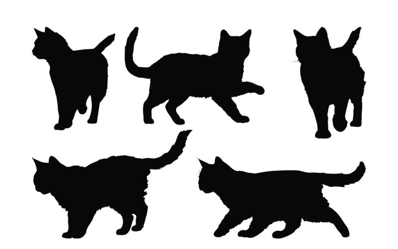 Gatti domestici che camminano silhouette vettoriale