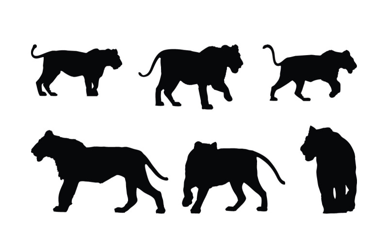 Leeuw lopen en rennen silhouet set