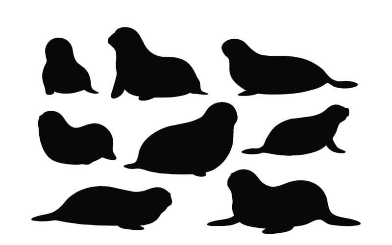 Bebé focas colocación silueta conjunto vector