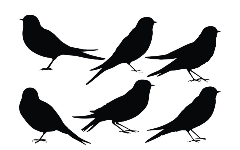 Collection de silhouettes d'oiseaux assis
