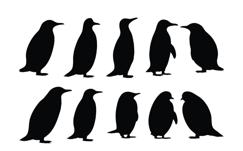 Flugunfähige Vögel stehen Silhouettenset