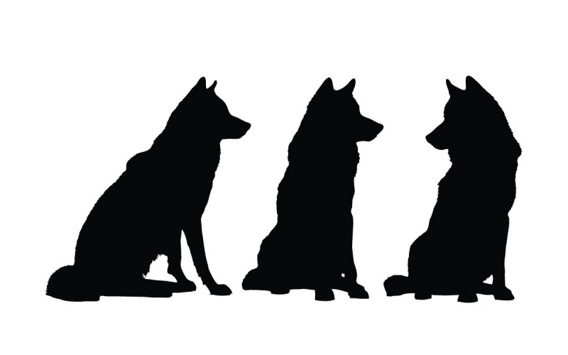 Lobos embalam vetor de coleção de silhuetas