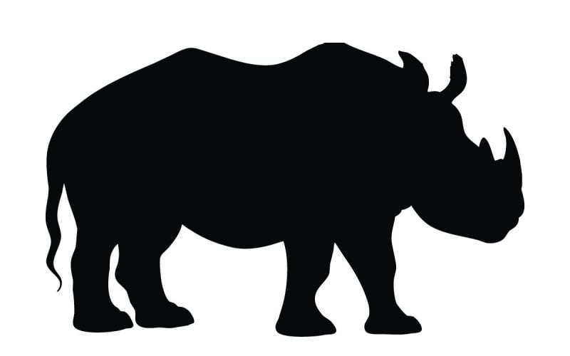 Nashorn mit großer Hornsilhouette