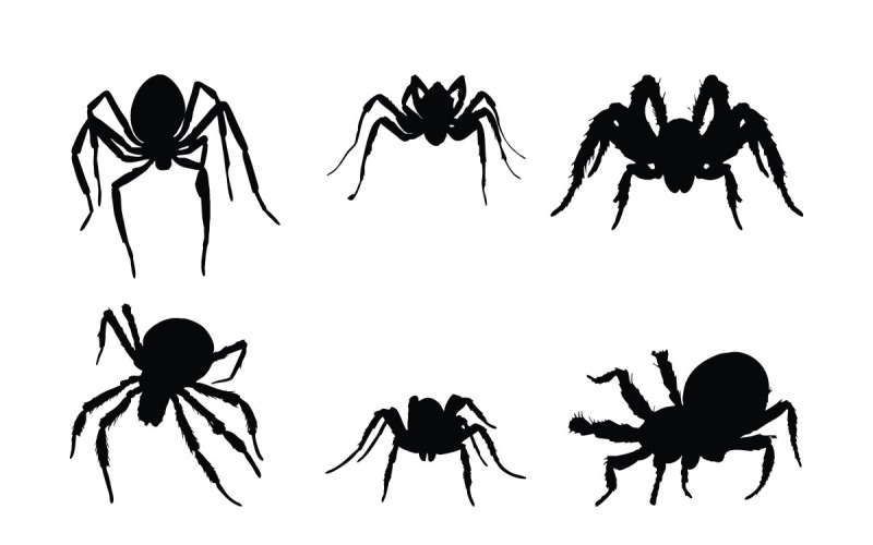 Örümcek tam vücut siluet koleksiyonu