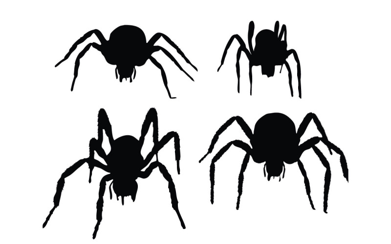 Spider silhouet collectie vector