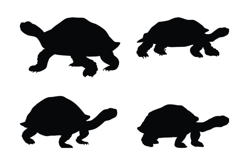 Tortoise standing silhouette bundle vector - TemplateMonster