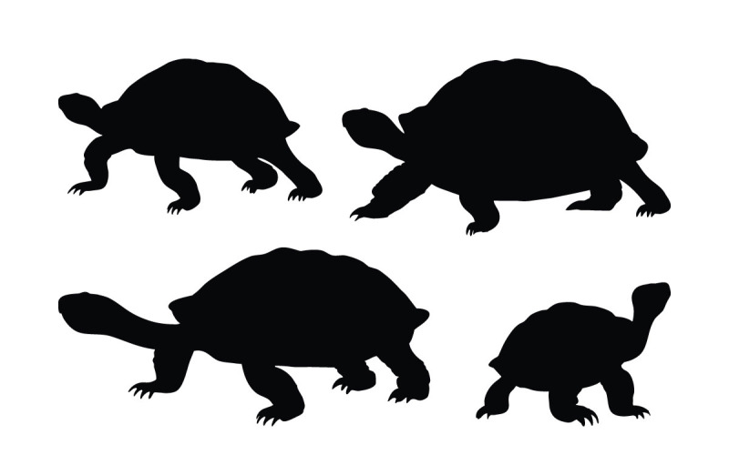 tortue, marche, silhouette, ensemble, vecteur