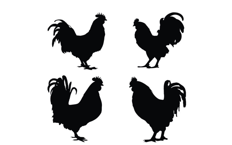 Vecteur de silhouette de corps entier de coq
