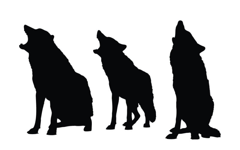 Wolven zitten silhouet set vector